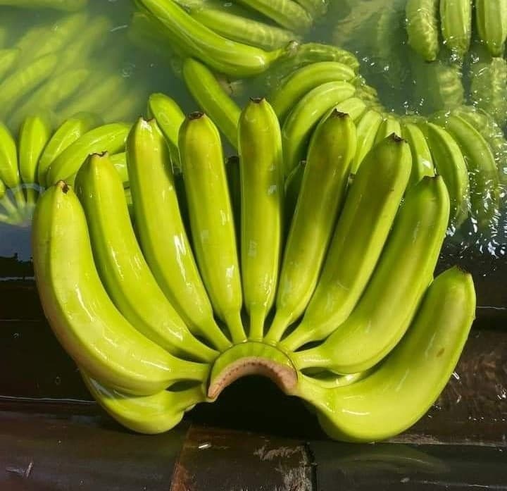 Banana