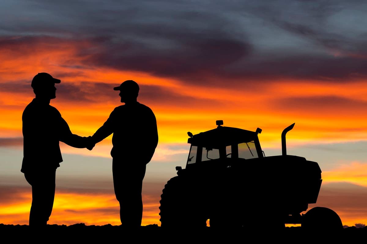 Nelcyra International Trading Hub Header